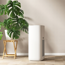 White modern design air purifier, dehumidifier, monstera plant tree on parquet floor in beige brown wallpaper wall empty room in sunlight from window