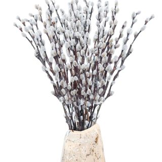 Oning 30 Stems Real Dried Pussywillow Preserved Greenery Branches for Vase- Natural Pussywillows With White Flowers, Snow Willow Branches for Wedding Home Party Hotel Fireplace Yard Decor