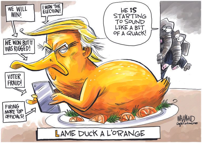 Political Cartoon U.S. Trump loss