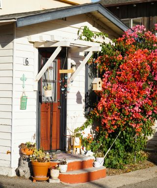 Orangey red climbing flower beside a front door