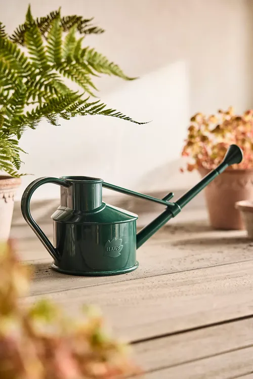 Watering Can