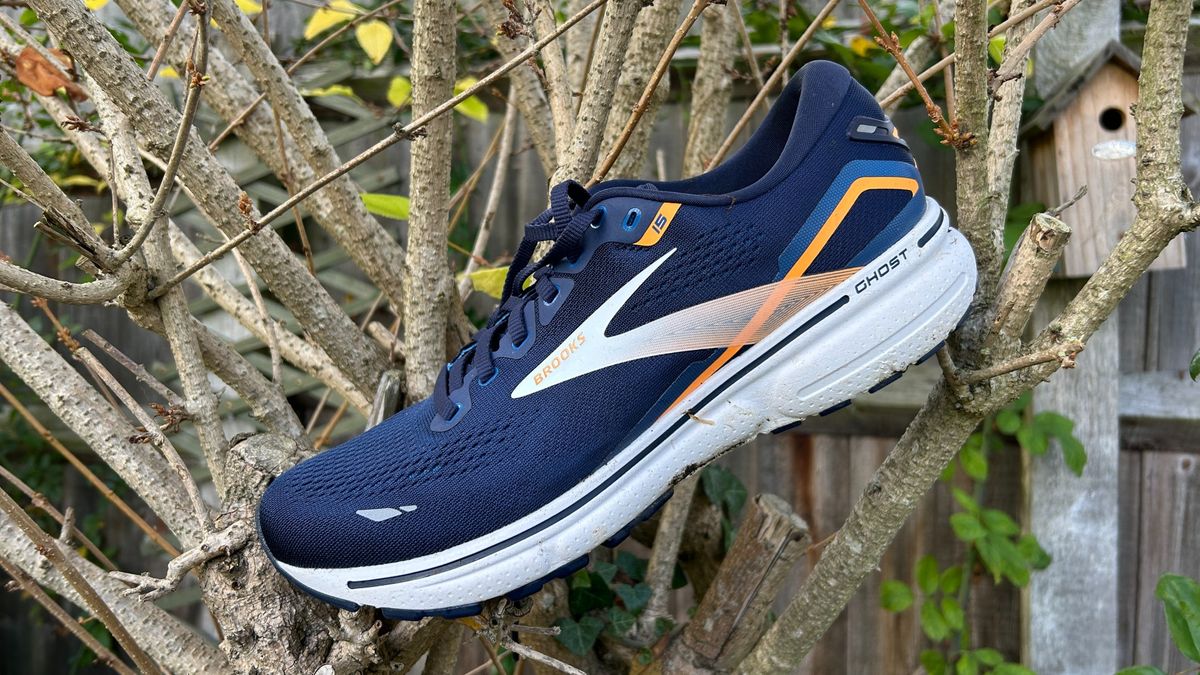 brooks ghost 15 running shoes review