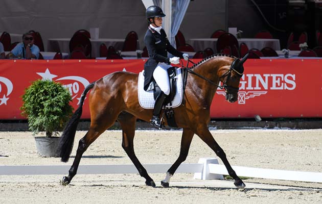 European Eventing Championships dressage Bettina Hoy Seigneur Medicott