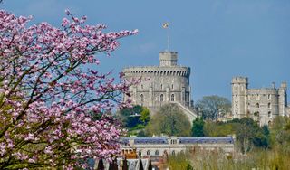 london royal wedding