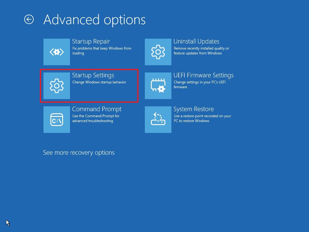 WinRE Startup Settings