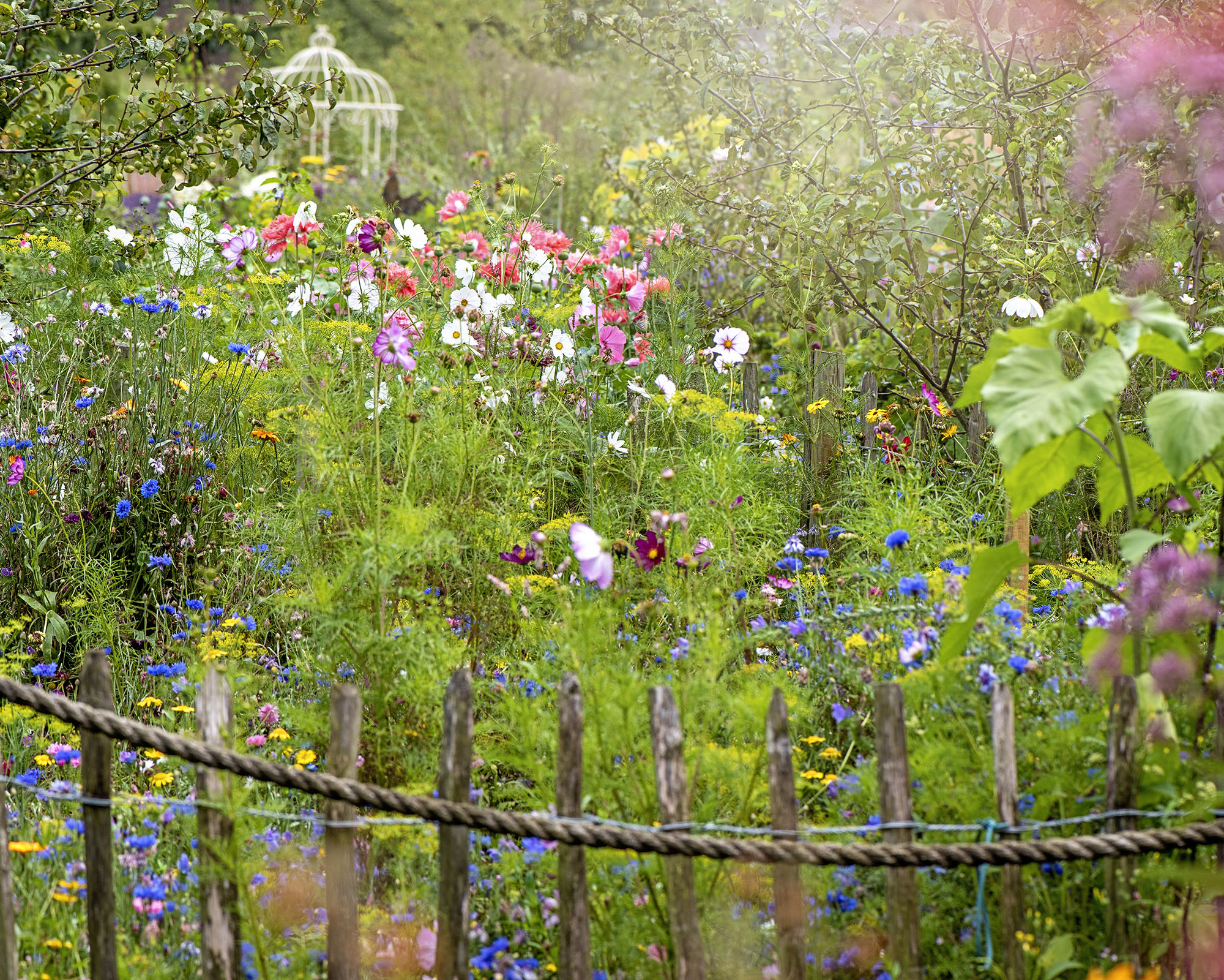 Summer wildflower garden with a roped rustic wooden gate and pergola in the background