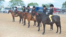 line up lining Three Counties Show 02.06.19 HOYS Mini Champs. Champion No. 1051 Woodview Ianthe