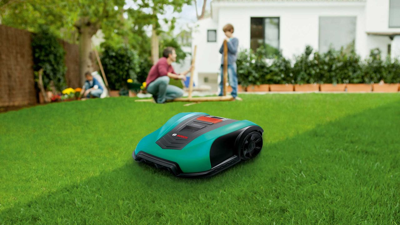 Things I wish I&#039;d known before buying a robot lawn mower