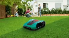 Things I wish I'd known before buying a robot lawn mower