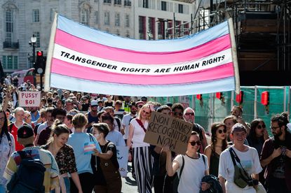 Trans rights: Trans activists at a march for LGBTQ+ rights