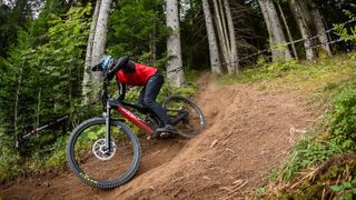 Rider on e-MTB on downhill track through woods