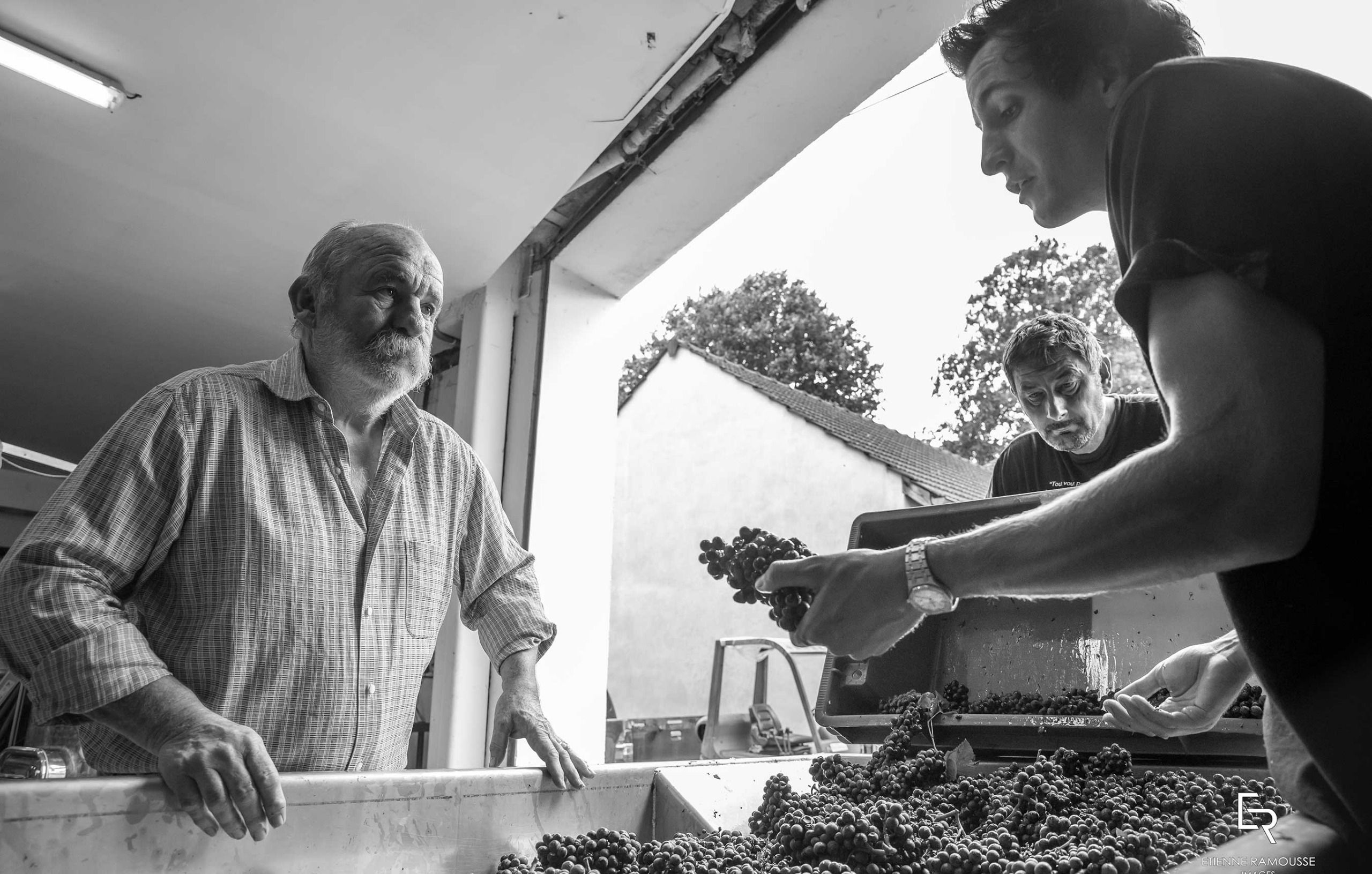 Eight producers leading Pommard’s winemaking renaissance