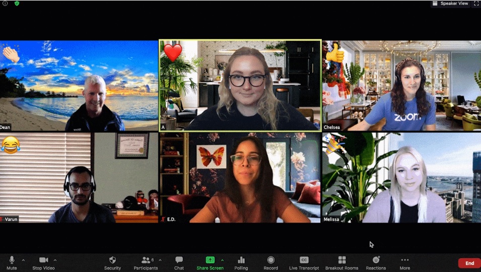 Zoom meetings