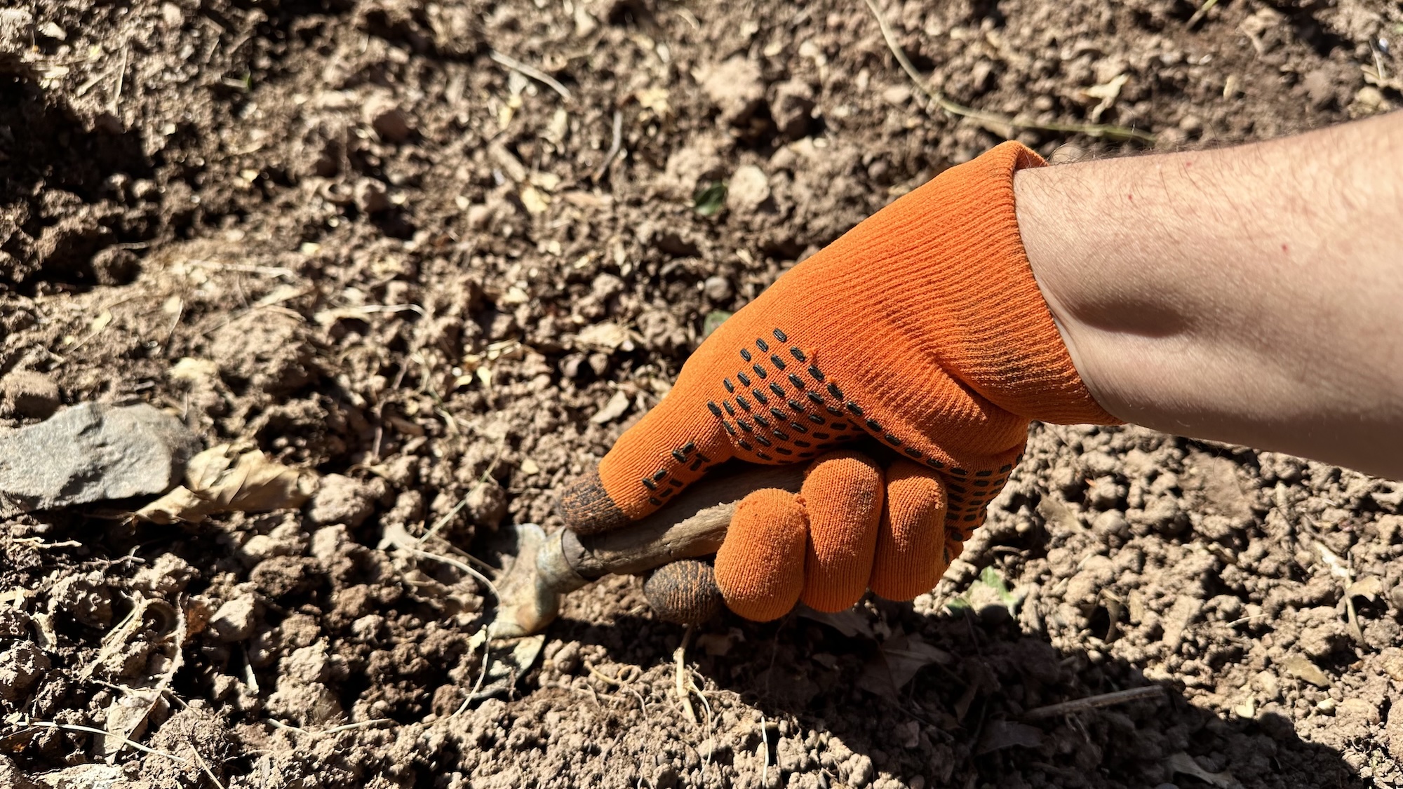 Cross Point Gear Sport Gloves