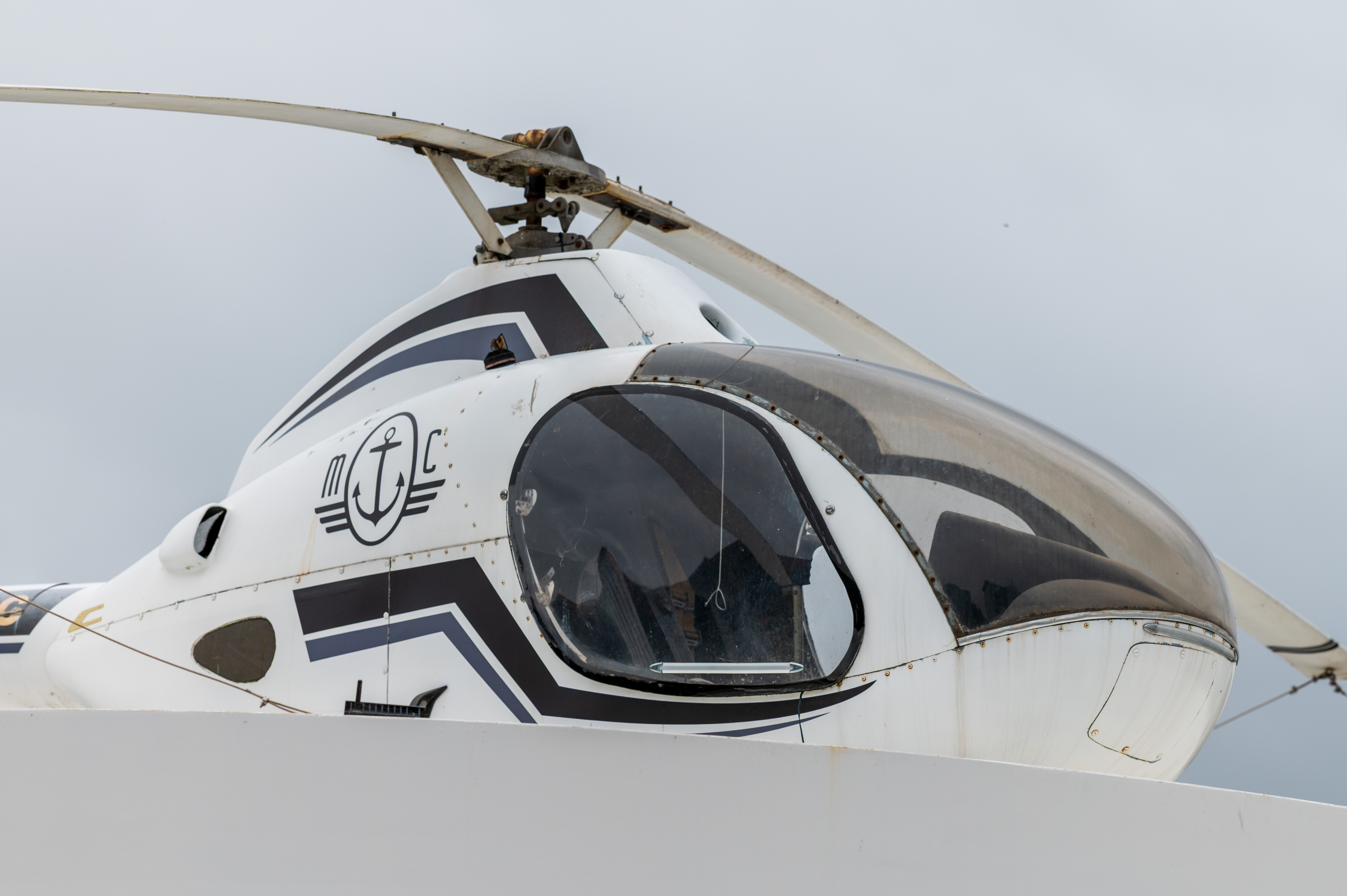 Laowa 200mm f/2 AF FF example shot