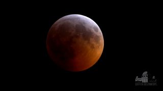 The moon turns a blood-red color during the total lunar eclipse of Jan. 20, 2019 in this image taken by a telescope at the Griffith Observatory in Los Angeles, California.