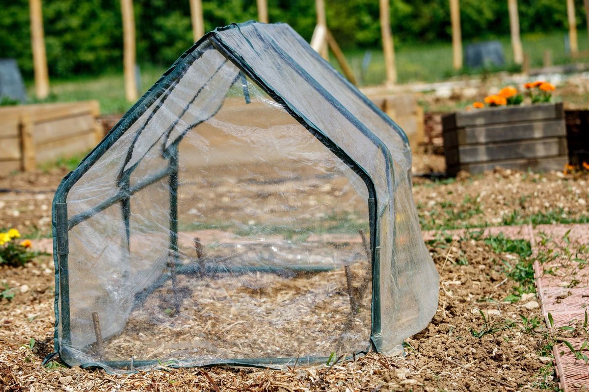 Tent shop in garden