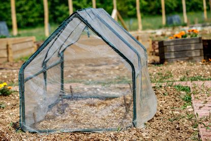 Grow Tent In A Garden