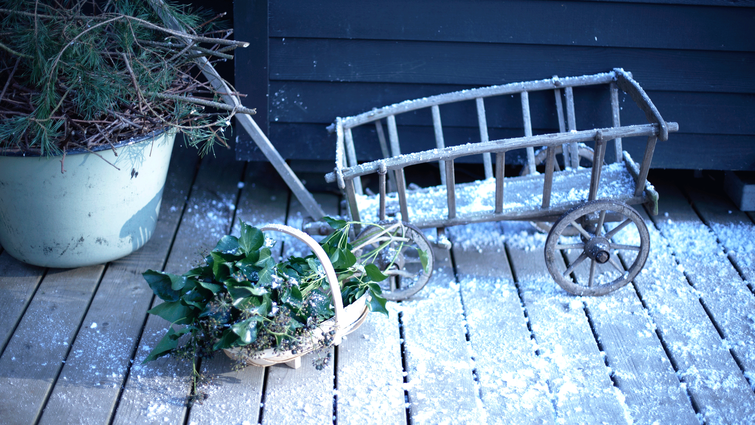 protect potted plants from frost 
