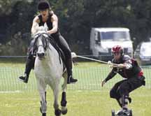 horse_boarding2-hr.jpg