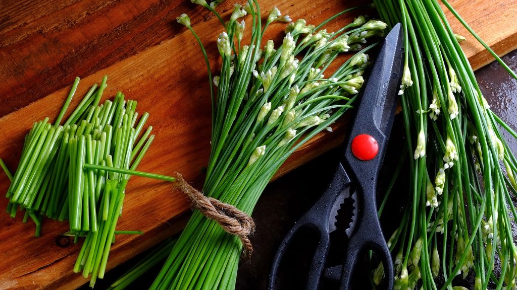 fresh garlic chives 