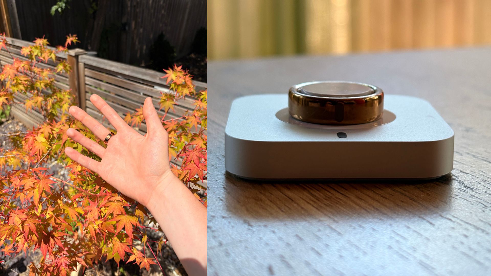 Oura Ring 5
