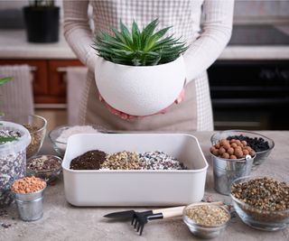 Making succulent potting mix