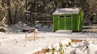 雪花园里的绿色小屋