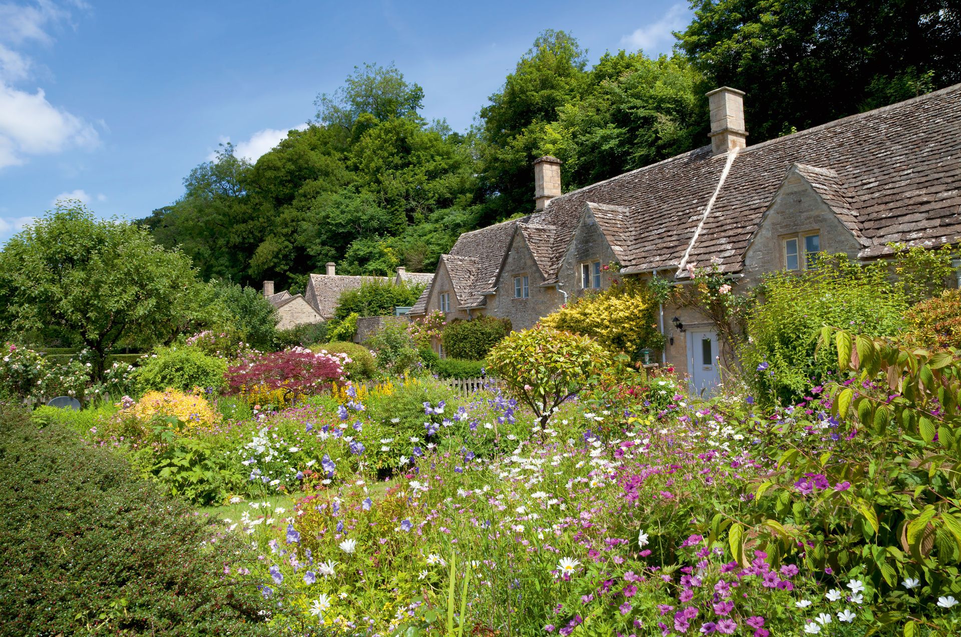 Cottage garden