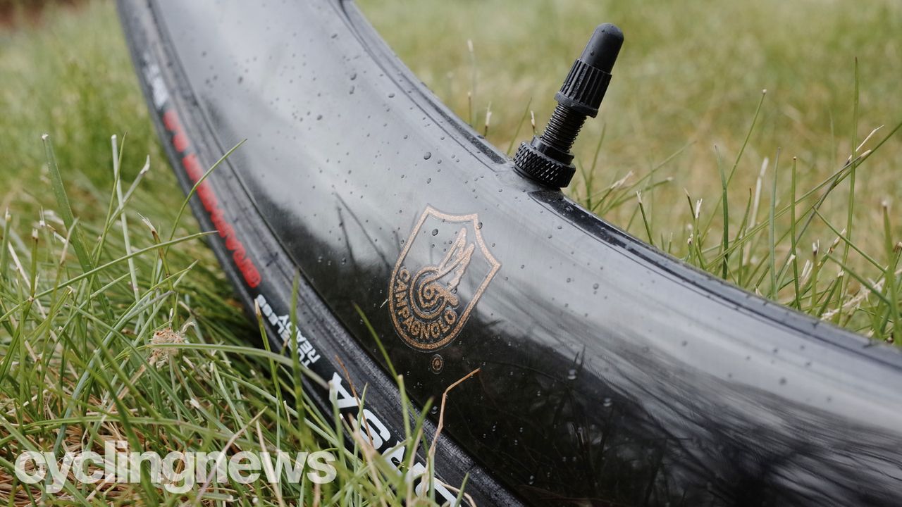 Campagnolo Bora Ultra WTO