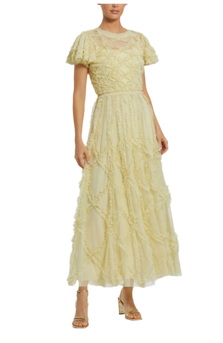 Solid Mesh Dotted Micro Ruffle High Neck Gown