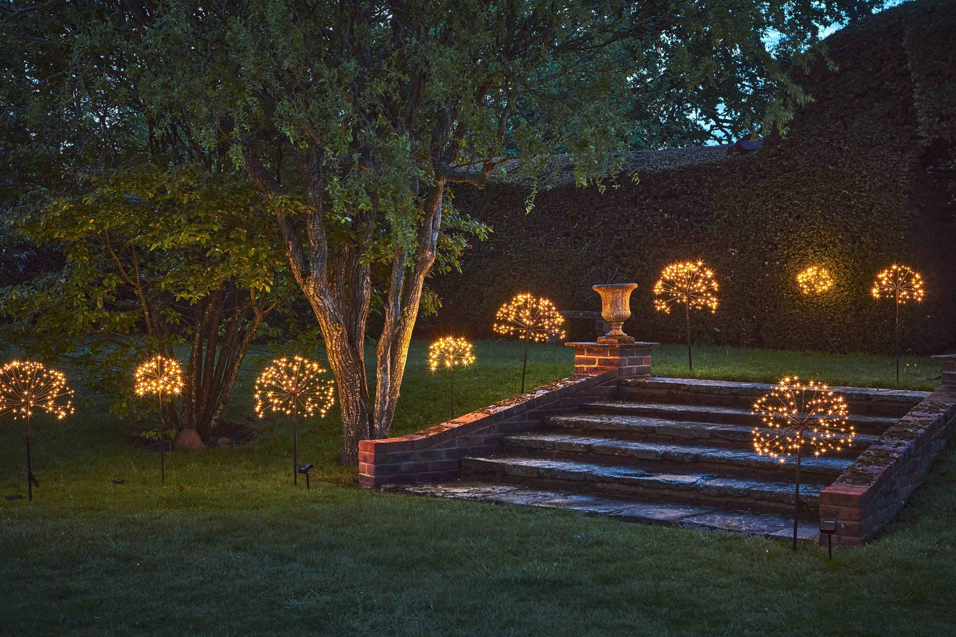 A garden with small solar lights planted across the lawn