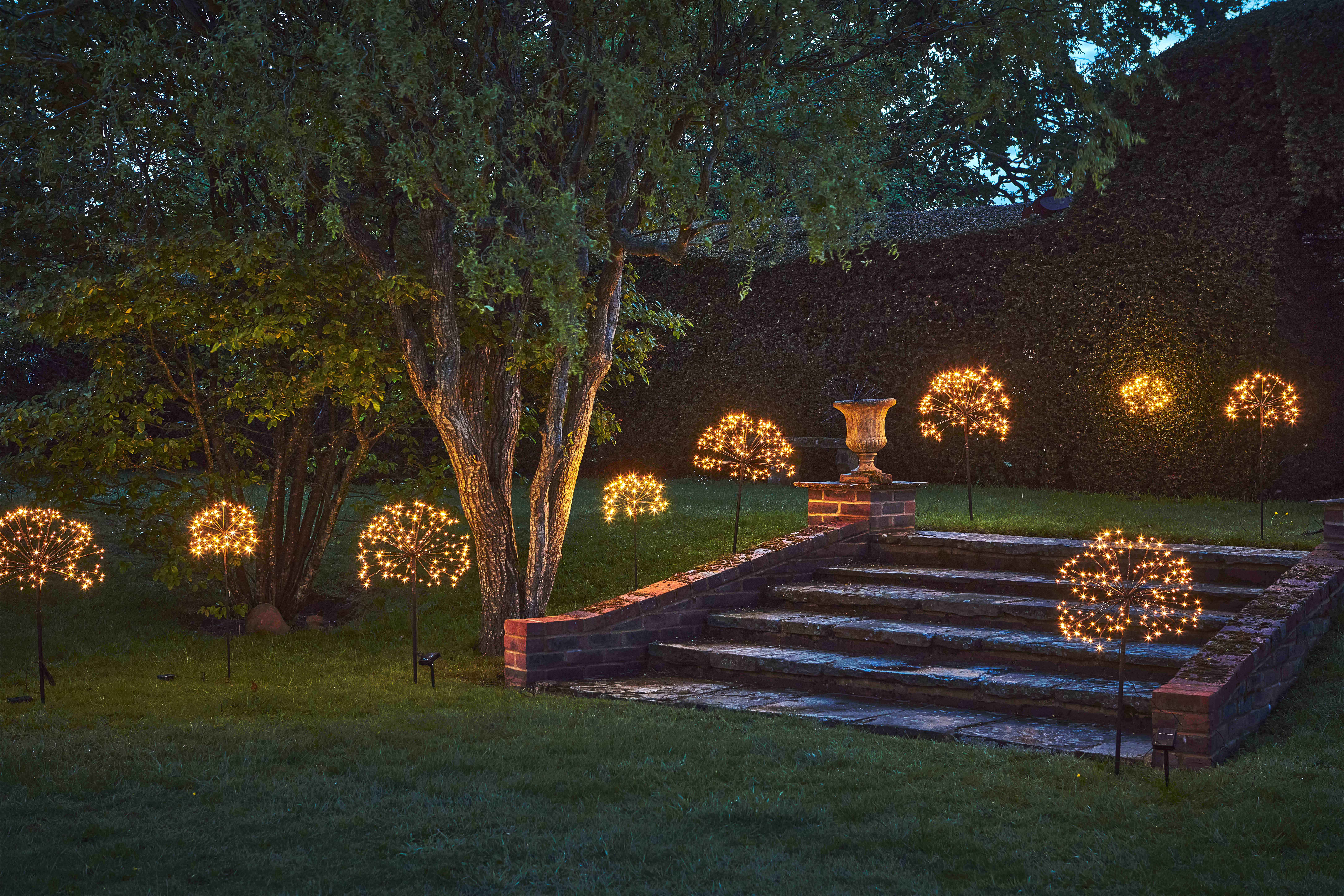 A garden with small solar lights planted across the lawn