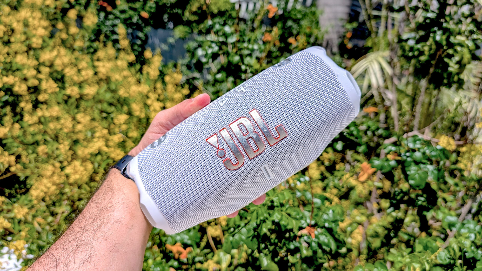 The JBL Charge 6 near the pool.