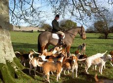 Hunting-in-Ireland-Zaras-Planet.jpg