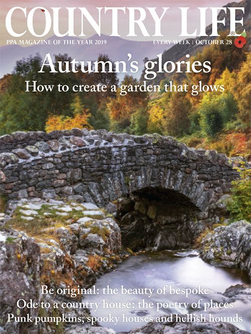 Country Life 28 October 2020 | Country Life