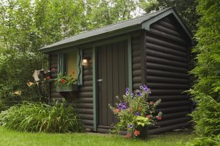 shed ideas: black and green