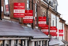 Renters Reform Bill represented by a street containing many 'to let' signs
