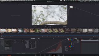 Blackmagic Design DaVinci Resolve Studio 17