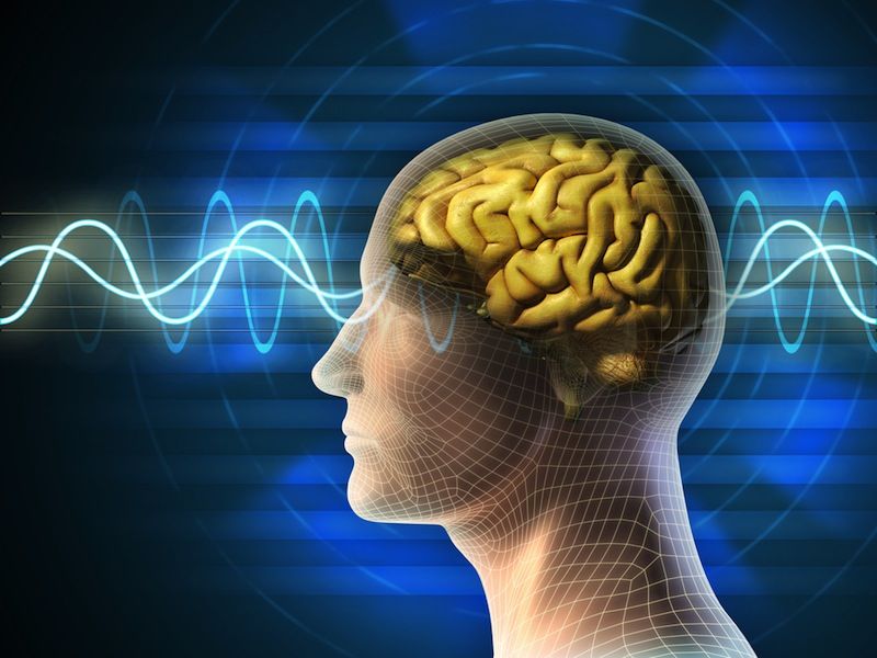 A diagram shows a human brain with an electrical wave running through it.