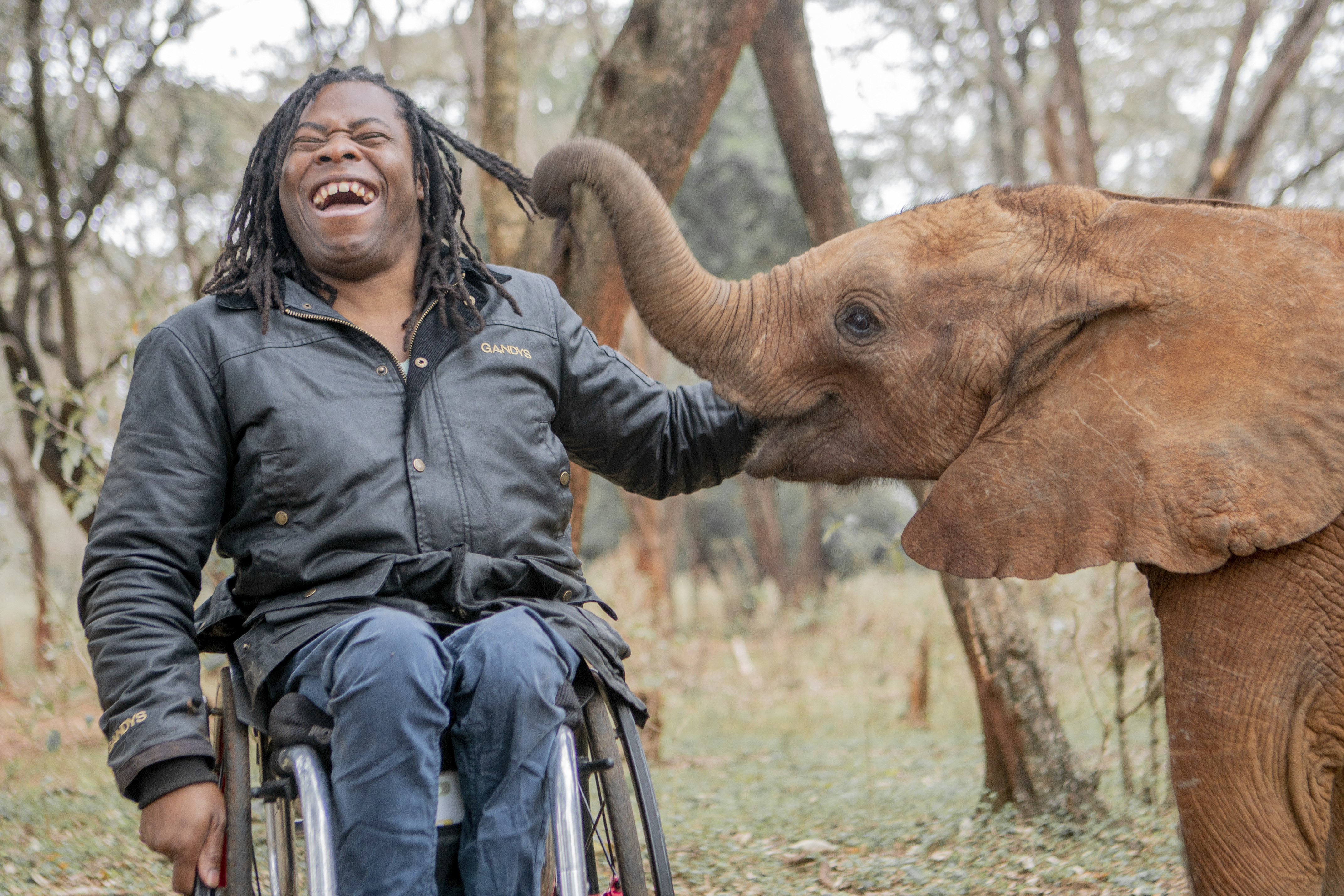 TV tonight – Ade Adepitan meets an orphan elephant.
