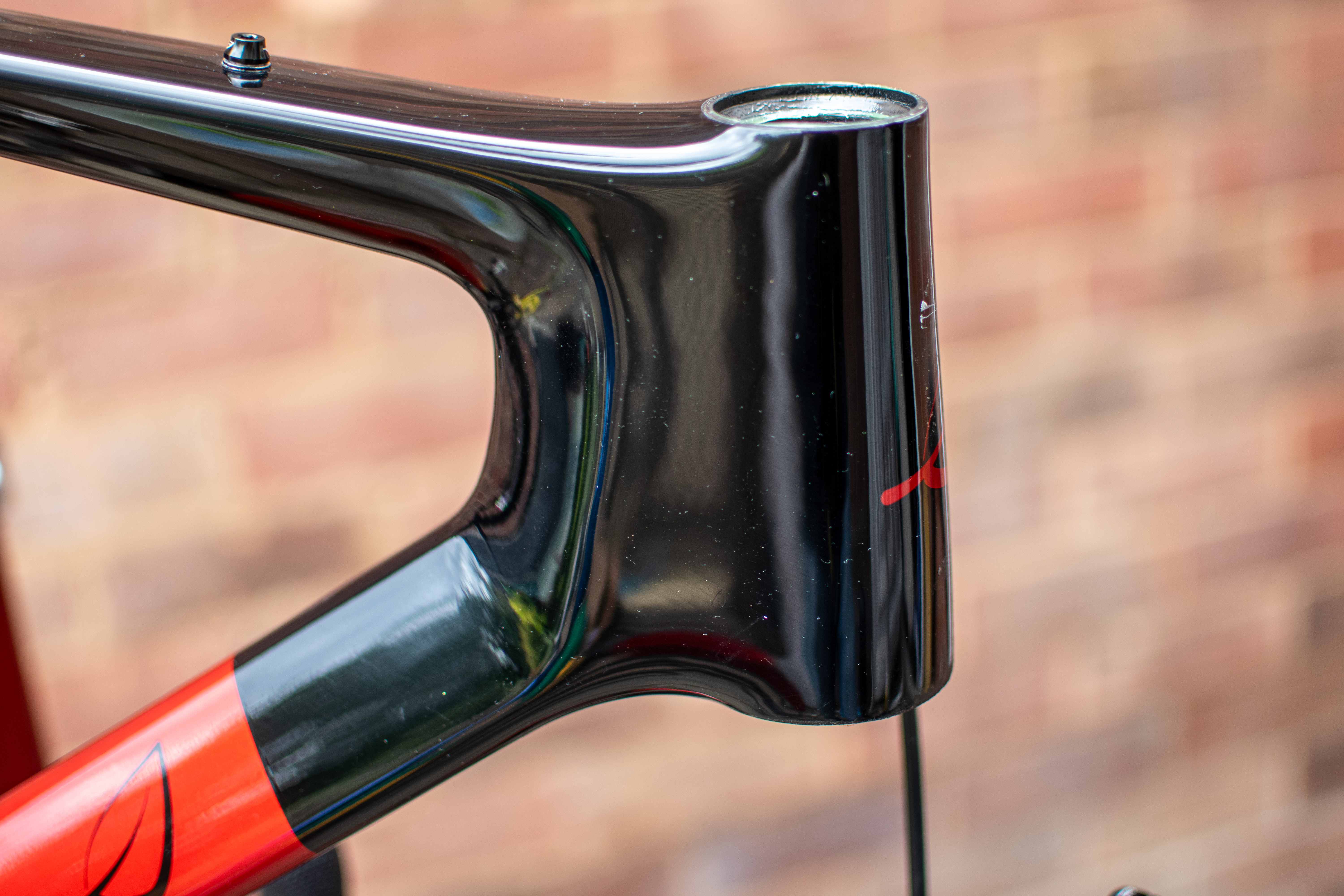 A Lauf Siegla head tube