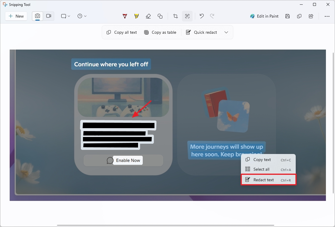 Snipping Tool redact text