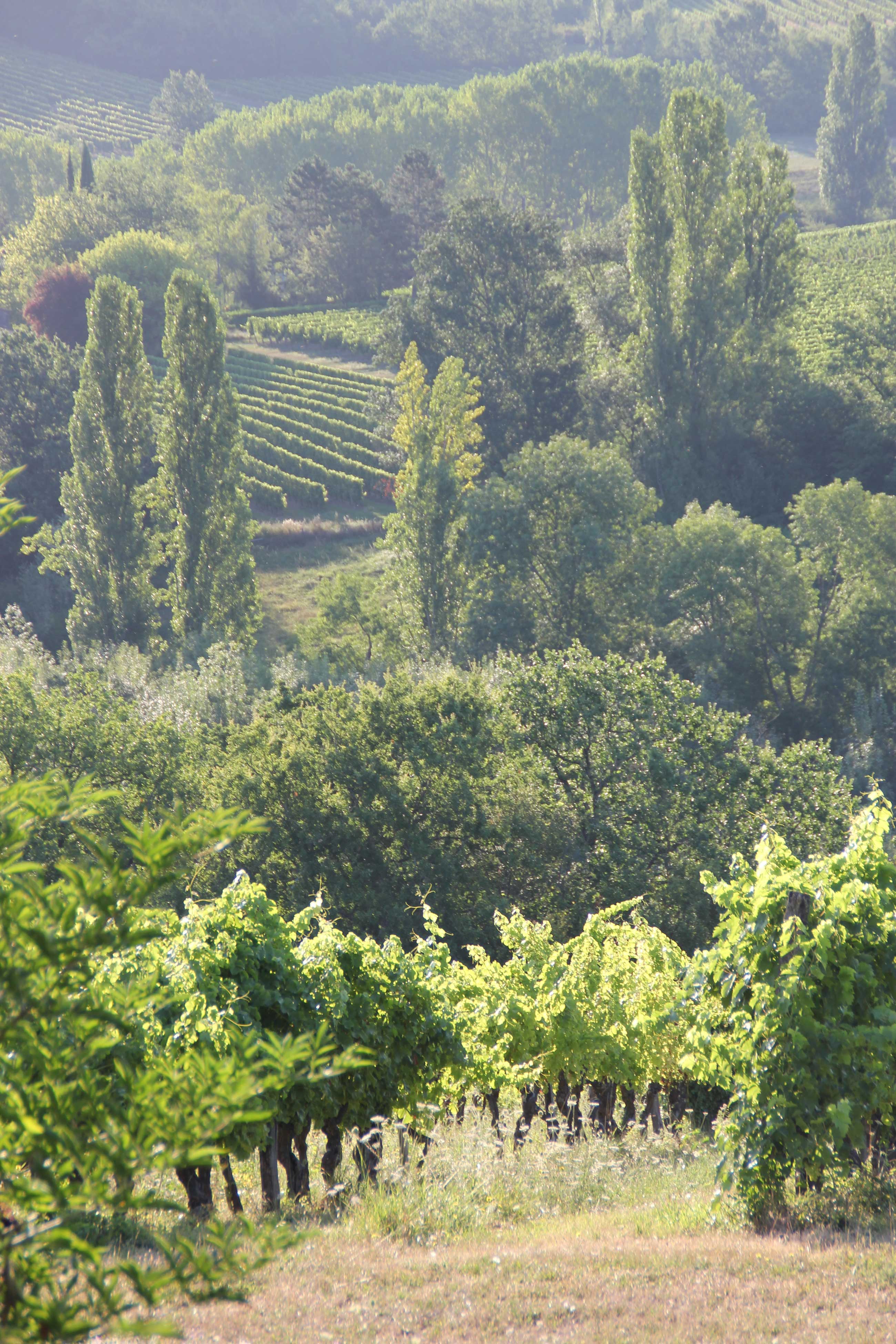 Bergerac travel