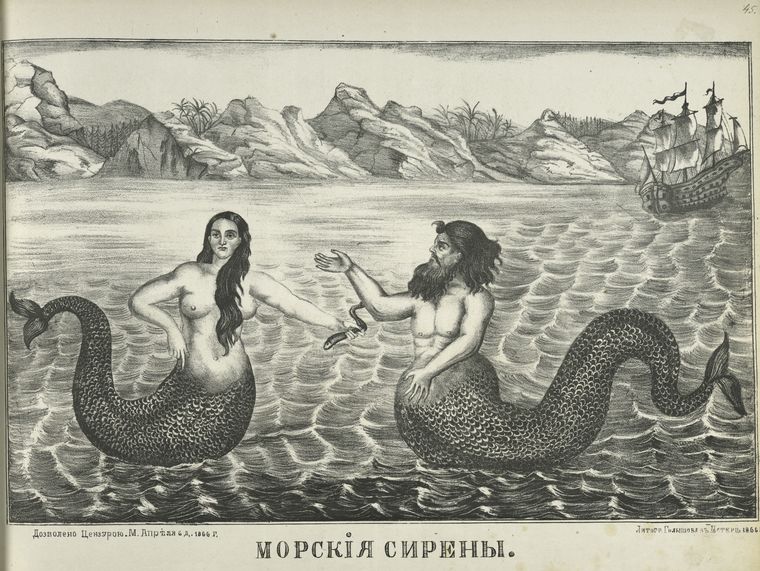 Mermaids Mermen Facts Legends Live Science While there have been many reports of mermaid sightings, there is no real indication that any of these have been real. mermaids mermen facts legends