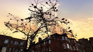 Xiaomi 12 camera sample