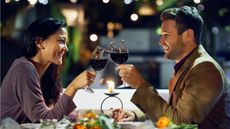 A young couple toasts with wine over a meal.