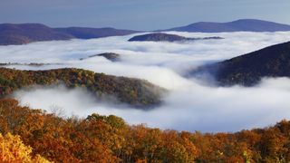 Autumn colors in Shenandoah National Park, above the clouds