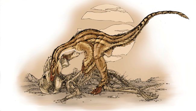 velociraptor protoceratops fighting