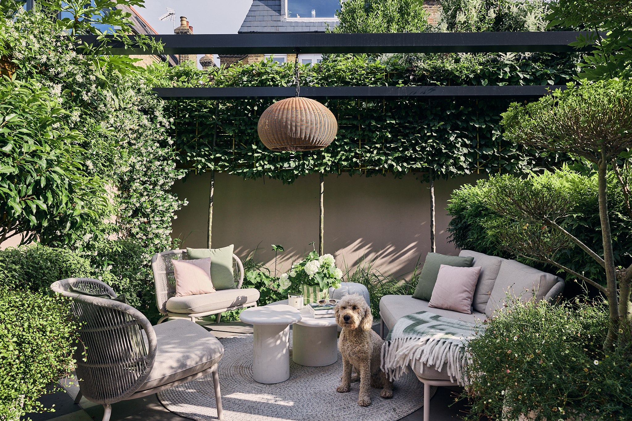 a modern garden filled with plants with a large checkerboard floor